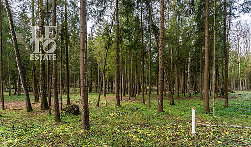 Участок в лесу КП Среди Своих