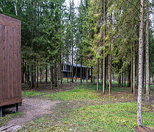 Участок в лесу КП Среди Своих