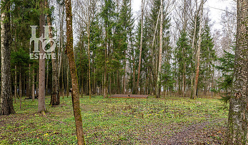 Участок в лесу КП Среди Своих