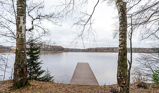 Участок в лесу КП Среди Своих