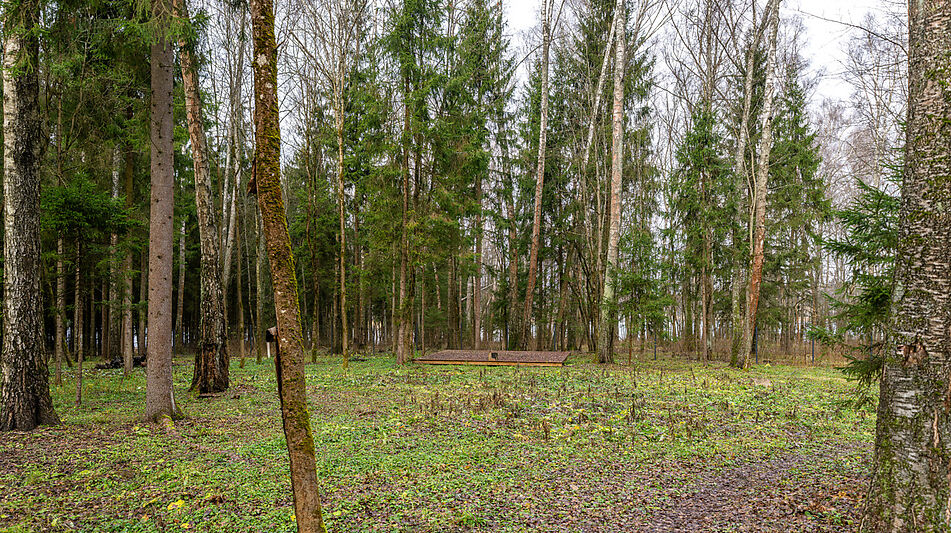 Участок в лесу КП Среди Своих