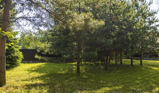 Дом в ТСН Успенское