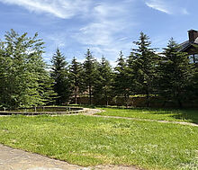 Дом в КП Шульгино