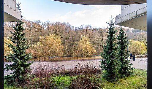 Просторная квартира в Новогорске