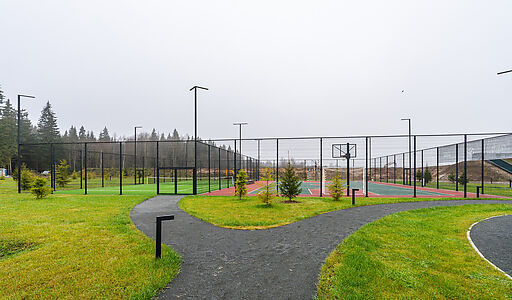 Новый дом  в Ели Эстейт