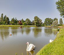 Дом под ключ в Мэдисон Парк