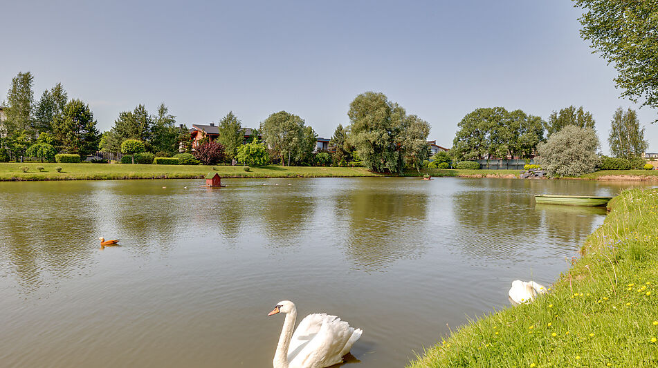 Дом под ключ в Мэдисон Парк