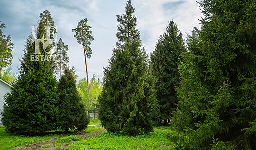 Участок в КП Лес Иславское