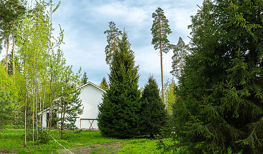 Участок в КП Лес Иславское