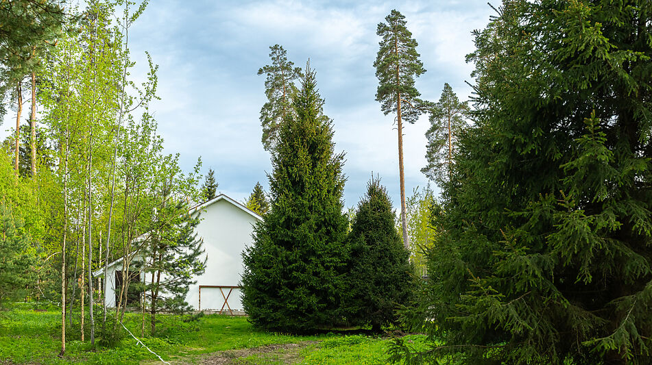 Участок в КП Лес Иславское