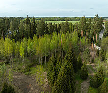 Участок в КП Лес Иславское