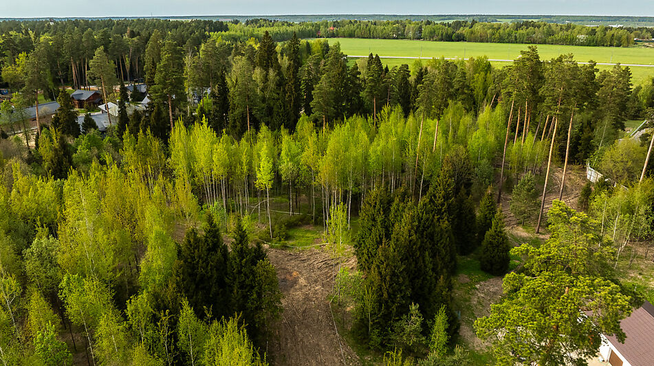 Участок в КП Лес Иславское
