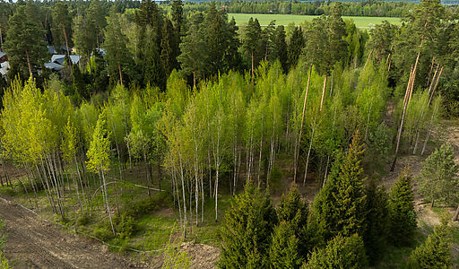 Участок в КП Лес Иславское