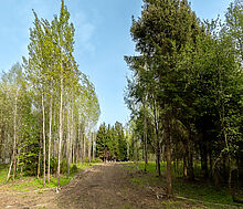 Участок в КП Лес Иславское