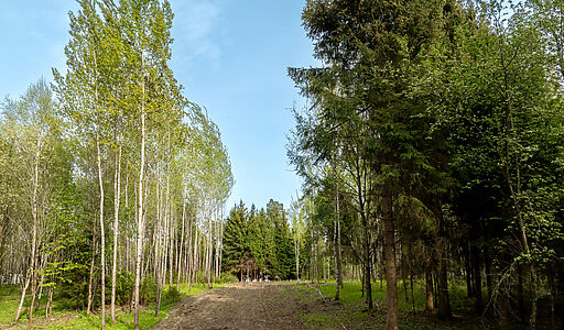 Участок в КП Лес Иславское