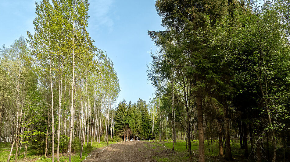 Участок в КП Лес Иславское
