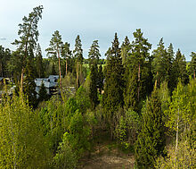 Участок в КП Лес Иславское