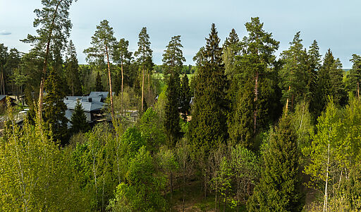 Участок в КП Лес Иславское