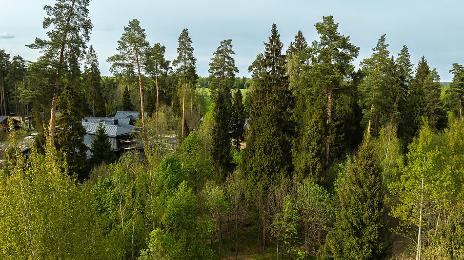 Участок в КП Лес Иславское