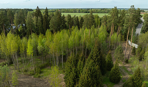 Участок в КП Лес Иславское