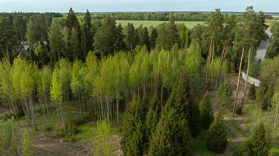 Участок в КП Лес Иславское