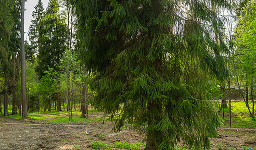 Участок в КП Лес Иславское