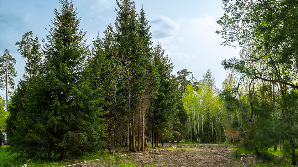 Участок в КП Лес Иславское