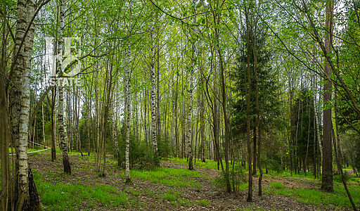 Участок в КП Лес Иславское