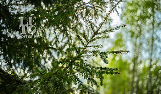 Участок в КП Лес Иславское