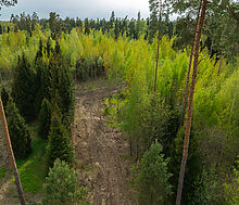 Участок в КП Лес Иславское