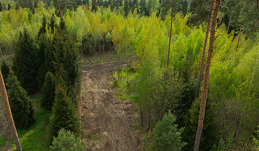 Участок в КП Лес Иславское