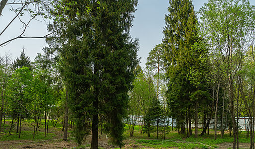 Участок в КП Лес Иславское