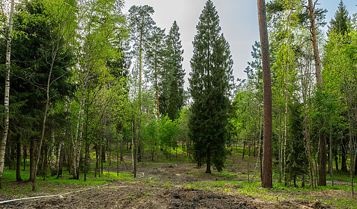 Участок в КП Лес Иславское