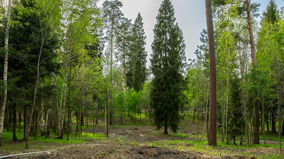 Участок в КП Лес Иславское