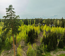 Участок в КП Лес Иславское