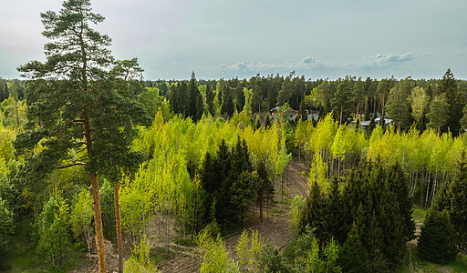 Участок в КП Лес Иславское