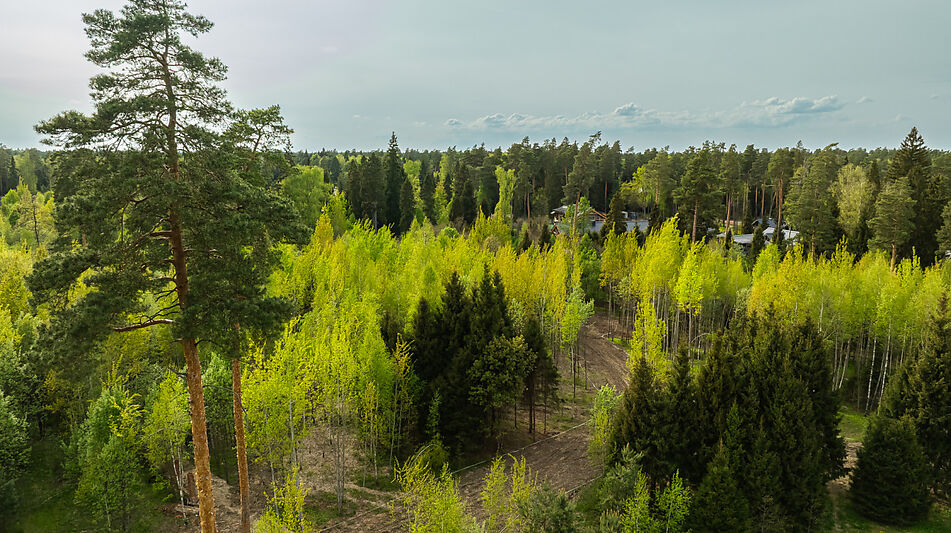 Участок в КП Лес Иславское