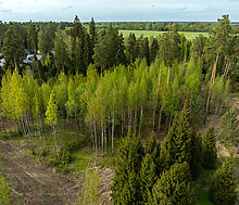 Участок в КП Лес Иславское