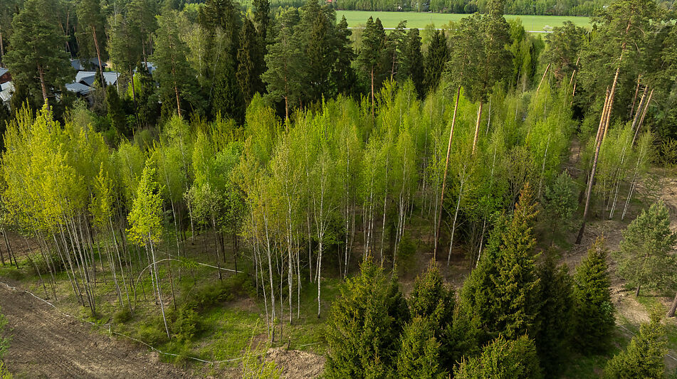 Участок в КП Лес Иславское