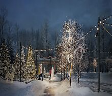 Кристал Форест