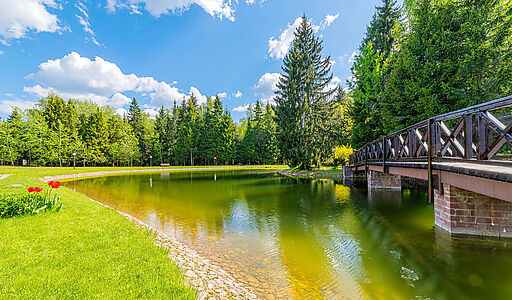 Готовый дом в КП Чигасово-1