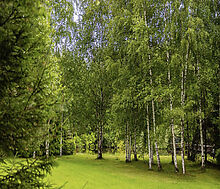 Дом в современном стиле в Ивакино