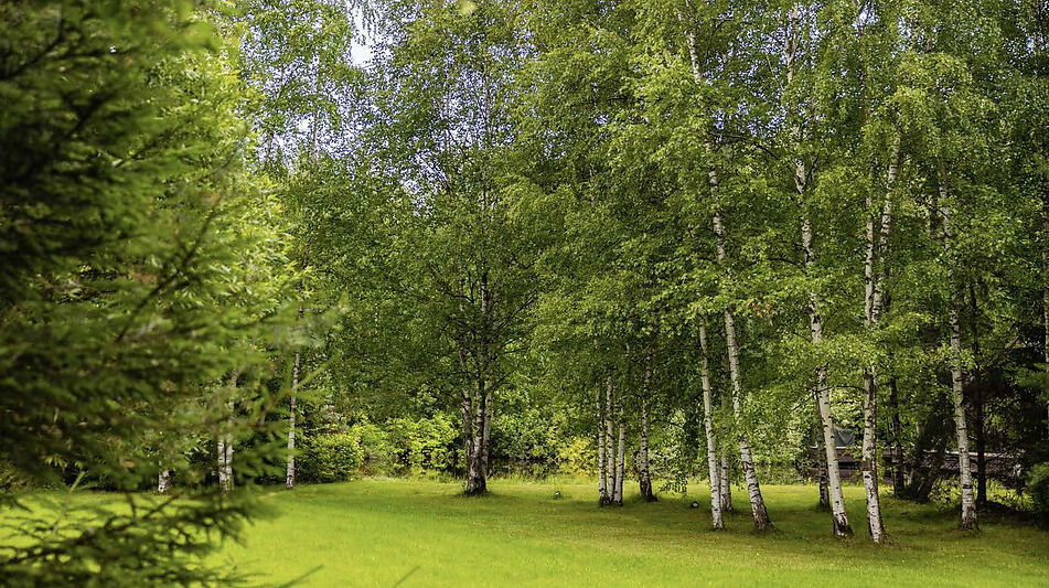 Дом в современном стиле в Ивакино