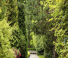 Дом в современном стиле в Ивакино