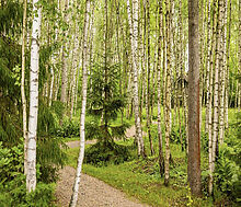 Дом в современном стиле в Ивакино