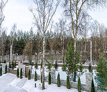 Новый дом у леса в Спасатель-1