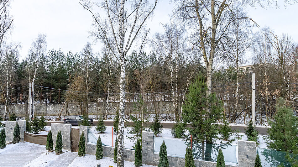 Новый дом у леса в Спасатель-1