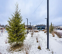 Дом в КП Рига Фэмили