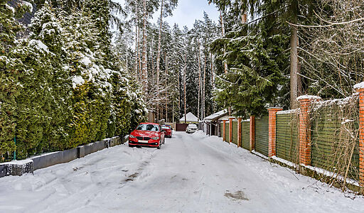 Дом в окружении реликтовых сосен.