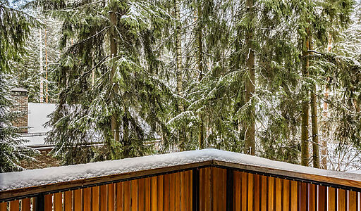 Дом в окружении реликтовых сосен.